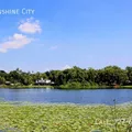3 bedrooms apartment for rent in Forest Hills Tampa - North Tampa, Tampa