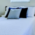 Coliving in Clearwater - Clearwater-St. Petersburg, Tampa