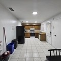 Coliving in Land O' Lakes - North Tampa, Tampa