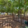 Coliving in Cedar Park - North Austin, Austin