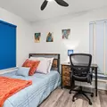 Coliving in Northeast Side - North SATX, San Antonio