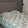Coliving in Pleasant Grove - Se Dallas, Dallas