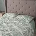 Coliving in Pleasant Grove - Se Dallas, Dallas