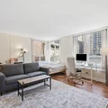 Studio Apartment for rent in Magnificent Mile - Central, Chicago