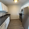 Studio Apartment for rent in Magnificent Mile - Central, Chicago