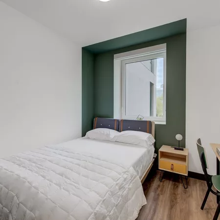 Coliving in Williamsburg - Brooklyn, New York