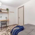 Coliving in Harlem - Manhattan, New York