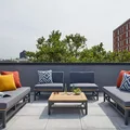 Coliving in Harlem - Manhattan, New York