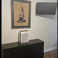 Coliving in Piedmont Addition - Se Dallas, Dallas