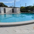 1 bedroom apartment for rent in Hyde Park Tampa - Central Tampa, Tampa