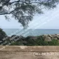 1 bedroom apartment for rent in Rogers Park - Far North Side, Chicago
