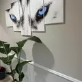 Coliving in Westchase - West Houston, Houston