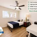 Coliving in Las Vegas - Las Vegas, Las Vegas