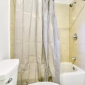 Coliving in Lowry Park North - North Tampa, Tampa