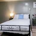 Coliving in University Square - North Tampa, Tampa