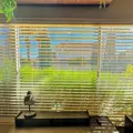 Coliving in Las Vegas - Las Vegas, Las Vegas