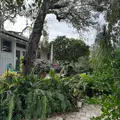 Coliving in Sanford - North Orlando, Orlando