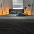 Coliving in Little Haiti - Miami, Miami