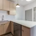 1 bedroom apartment for rent in Gold Coast - Central, Chicago