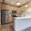1 bedroom apartment for rent in Gold Coast - Central, Chicago