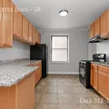1 bedroom apartment for rent in South Shore - South Side, Chicago