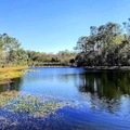 Coliving in Marietta - Westside, Jacksonville