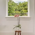 Coliving in Ost / South Union - Inner Loop, Houston