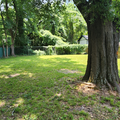Coliving in Brookview Heights - West Atl, Atlanta