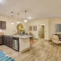 2 bedrooms apartment for rent in Addison - Nw Dallas, Dallas