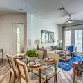 1 bedroom apartment for rent in Downtown Dallas - Ne Dallas, Dallas