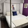 Coliving in Idlewild South - East Charlotte, Charlotte
