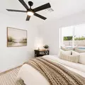 Coliving in Mesa - SE Valley, Phoenix