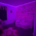 Coliving in East Houston - Ne Houston, Houston
