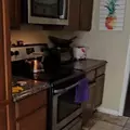 Coliving in Lakewood Heights - South Atl, Atlanta