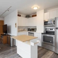 3 bedrooms apartment for rent in Lincoln Park - North Side, Chicago