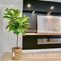 4 bedrooms apartment for rent in Northwood Hills - Ne Dallas, Dallas