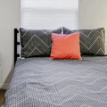 Coliving in University Square - North Tampa, Tampa