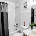 Coliving in University Square - North Tampa, Tampa