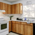 Coliving in University Square - North Tampa, Tampa