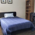 Coliving in North Houston - Nw Houston, Houston