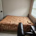 Coliving in Rockwood - Durham, Raleigh