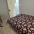 Coliving in Rockwood - Durham, Raleigh