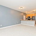1 bedroom apartment for rent in Chinatown Chicago - Central, Chicago