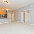 1 bedroom apartment for rent in Chinatown Chicago - Central, Chicago
