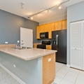 1 bedroom apartment for rent in Chinatown Chicago - Central, Chicago