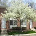 3 bedrooms apartment for rent in Minerva Park - North Columbus, Columbus