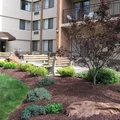 1 bedroom apartment for rent in Mount Lebanon Township - South Pitt, Pittsburgh