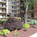 1 bedroom apartment for rent in Mount Lebanon Township - South Pitt, Pittsburgh