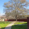 2 bedrooms apartment for rent in McClellan Park - Outer SAC, Sacramento
