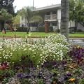 3 bedrooms apartment for rent in Natomas Corporate Center - North SAC, Sacramento